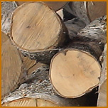 дрова березовые